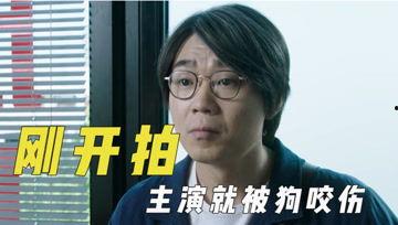 娱乐吃瓜君成果,明星幕后故事大曝光!